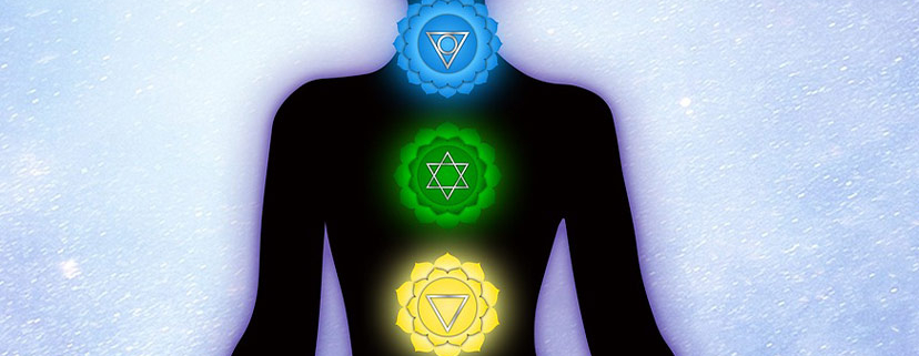 7 Chakras in your body